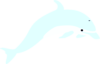 Light Blue Dolphin Image